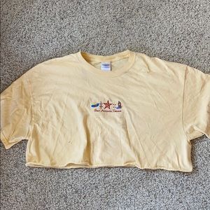 Texas cropped tee